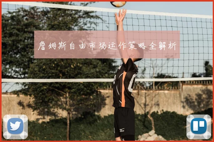 詹姆斯自由市场运作策略全解析